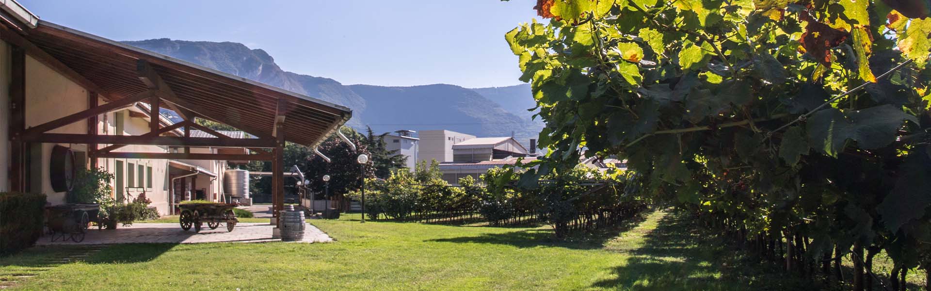 Disitilleria G. Bertagnolli